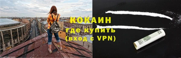 шишки Арсеньев