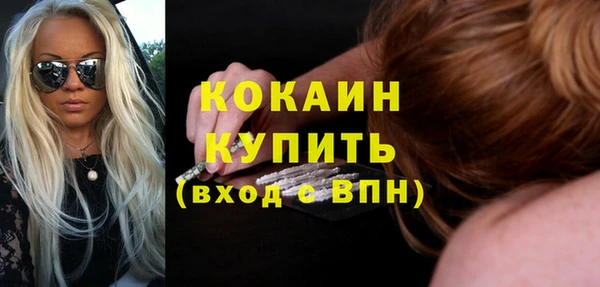 шишки Арсеньев