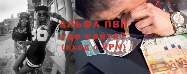 шишки Арсеньев